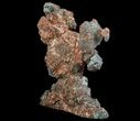 Natural, Native Copper Formation - Michigan (Special Price) #64761-2